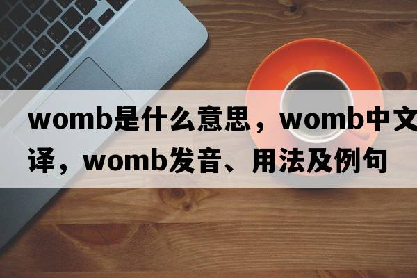 womb是什么意思，womb中文翻譯，womb發(fā)音、用法及例句