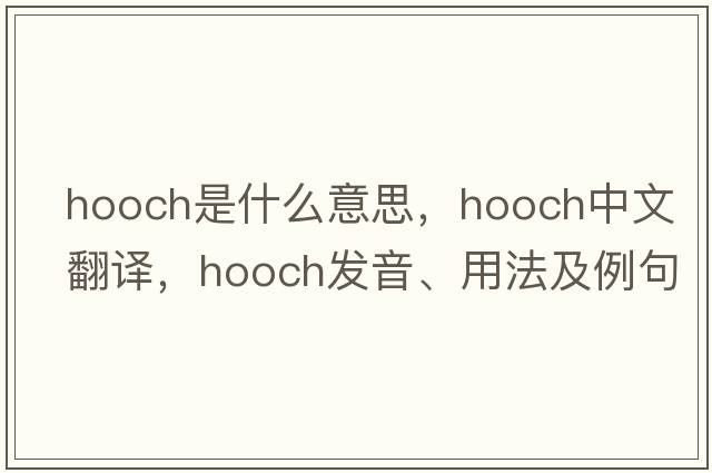 hooch是什么意思，hooch中文翻譯，hooch發(fā)音、用法及例句