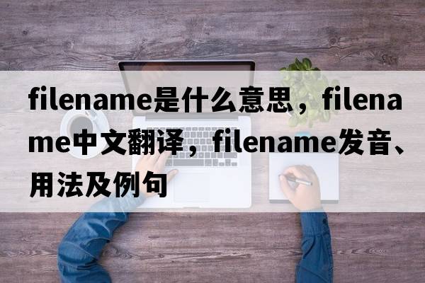filename是什么意思，filename中文翻譯，filename發(fā)音、用法及例句