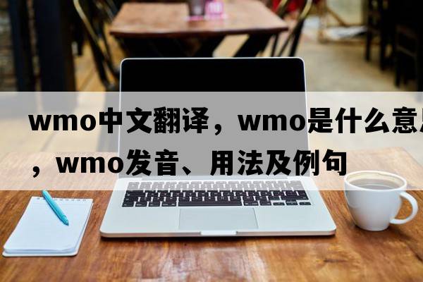 WMO中文翻譯，WMO是什么意思，WMO發(fā)音、用法及例句
