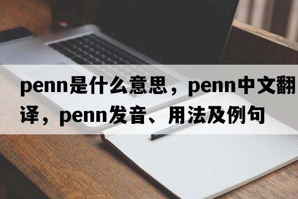 penn是什么意思，penn中文翻譯，penn發(fā)音、用法及例句