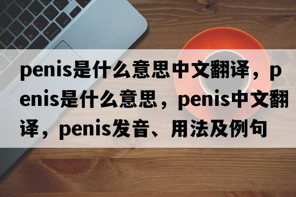penis是什么意思中文翻譯，penis是什么意思，penis中文翻譯，penis發(fā)音、用法及例句