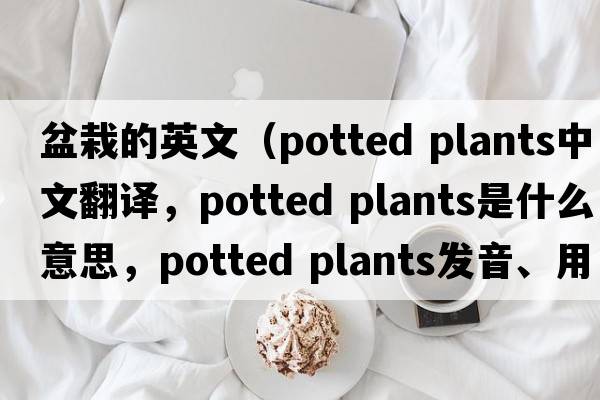 盆栽的英文（potted plants中文翻譯，potted plants是什么意思，potted plants發(fā)音、用法及例句）