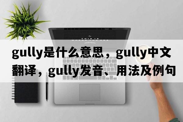 gully是什么意思，gully中文翻譯，gully發(fā)音、用法及例句