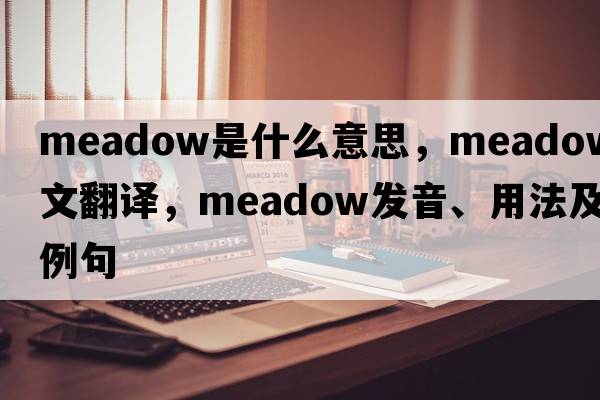 meadow是什么意思，meadow中文翻譯，meadow發(fā)音、用法及例句