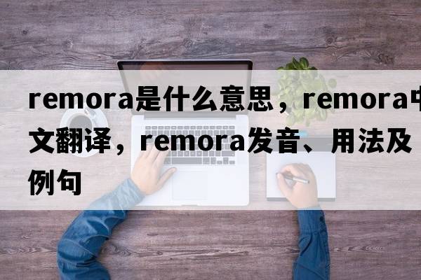 remora是什么意思，remora中文翻譯，remora發(fā)音、用法及例句