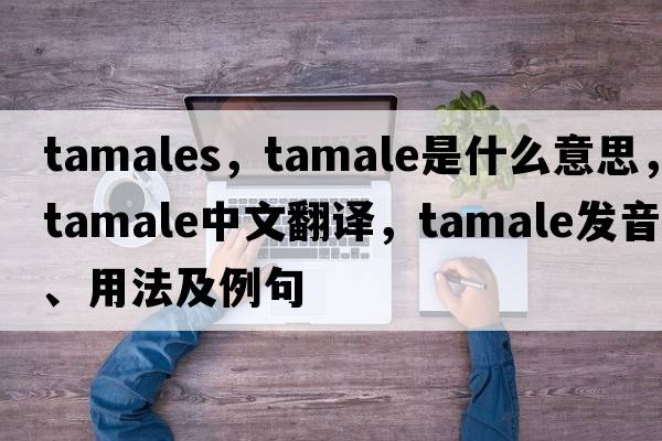 tamales，tamale是什么意思，tamale中文翻譯，tamale發(fā)音、用法及例句