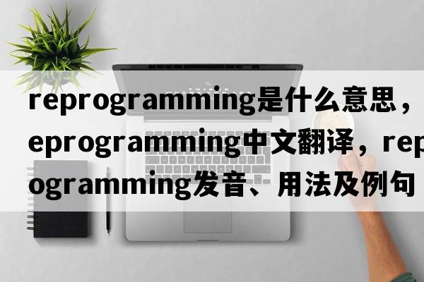 reprogramming是什么意思，reprogramming中文翻譯，reprogramming發(fā)音、用法及例句