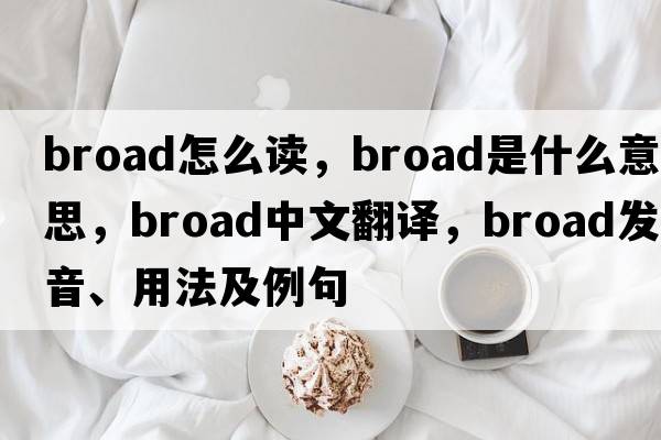 broad怎么讀，broad是什么意思，broad中文翻譯，broad發(fā)音、用法及例句