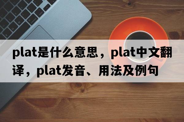 plat是什么意思，plat中文翻譯，plat發(fā)音、用法及例句