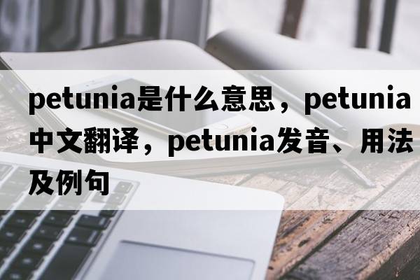 petunia是什么意思，petunia中文翻譯，petunia發(fā)音、用法及例句