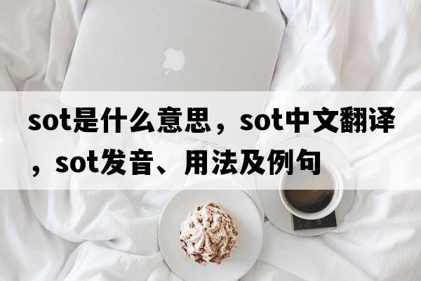 sot是什么意思，sot中文翻譯，sot發(fā)音、用法及例句