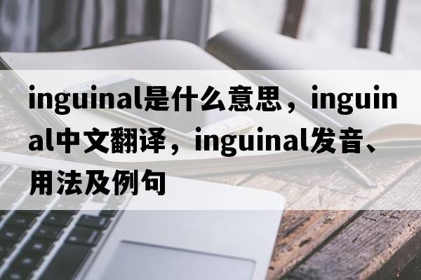 inguinal是什么意思，inguinal中文翻譯，inguinal發(fā)音、用法及例句