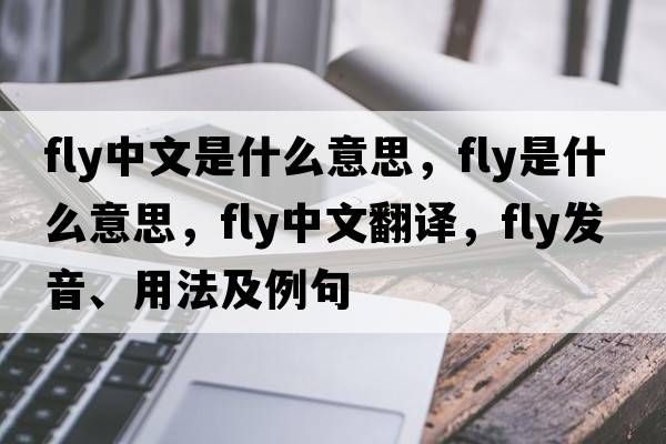 fly中文是什么意思，fly是什么意思，fly中文翻譯，fly發(fā)音、用法及例句