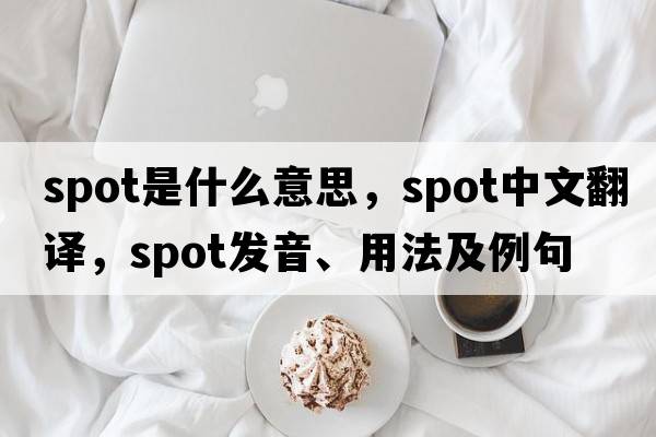 spot是什么意思，spot中文翻譯，spot發(fā)音、用法及例句