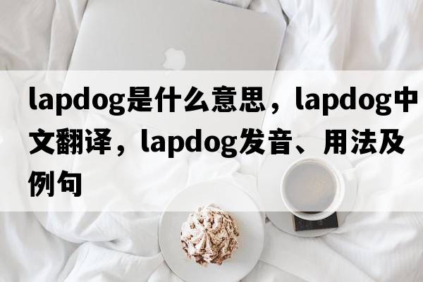 lapdog是什么意思，lapdog中文翻譯，lapdog發(fā)音、用法及例句