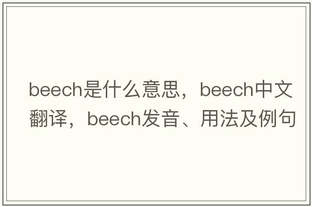beech是什么意思，beech中文翻譯，beech發(fā)音、用法及例句