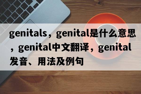 genitals，genital是什么意思，genital中文翻譯，genital發(fā)音、用法及例句
