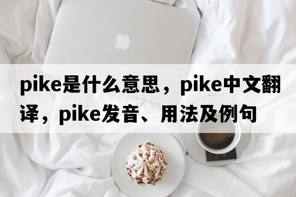 pike是什么意思，pike中文翻譯，pike發(fā)音、用法及例句