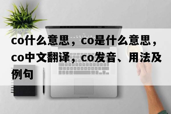 co什么意思，Co是什么意思，Co中文翻譯，Co發(fā)音、用法及例句