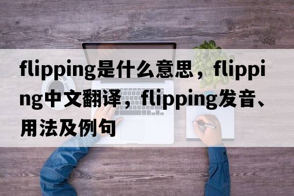flipping是什么意思，flipping中文翻譯，flipping發(fā)音、用法及例句