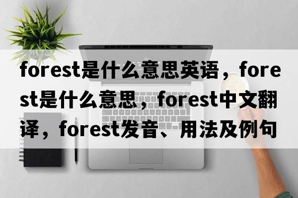 forest是什么意思英語，forest是什么意思，forest中文翻譯，forest發(fā)音、用法及例句