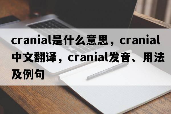 cranial是什么意思，cranial中文翻譯，cranial發(fā)音、用法及例句