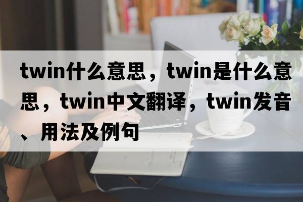 twin什么意思，twin是什么意思，twin中文翻譯，twin發(fā)音、用法及例句
