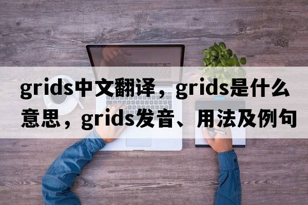 grids中文翻譯，grids是什么意思，grids發(fā)音、用法及例句