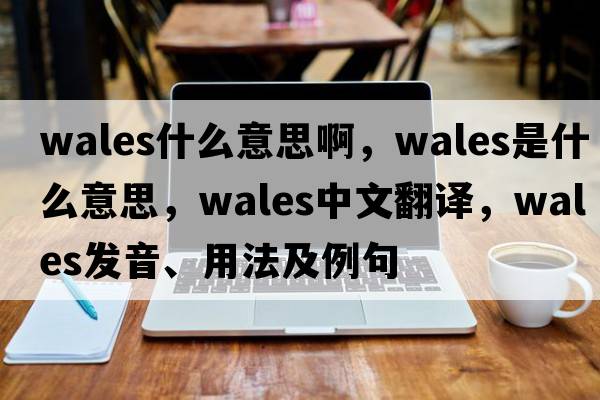 wales什么意思啊，Wales是什么意思，Wales中文翻譯，Wales發(fā)音、用法及例句