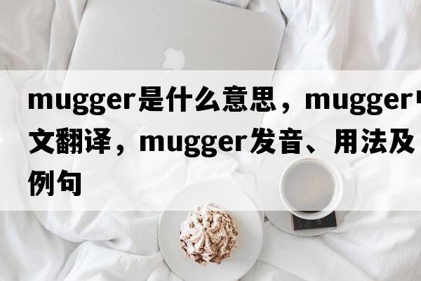 mugger是什么意思，mugger中文翻譯，mugger發(fā)音、用法及例句