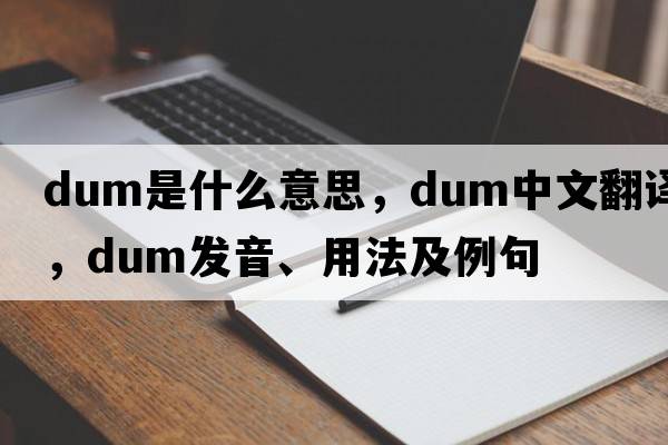 dum是什么意思，dum中文翻譯，dum發(fā)音、用法及例句