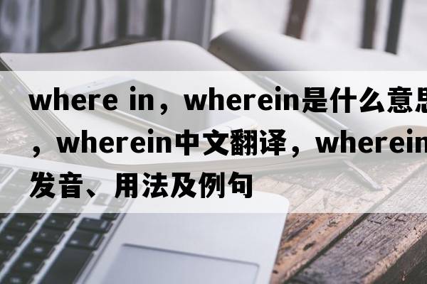 where in，wherein是什么意思，wherein中文翻譯，wherein發(fā)音、用法及例句