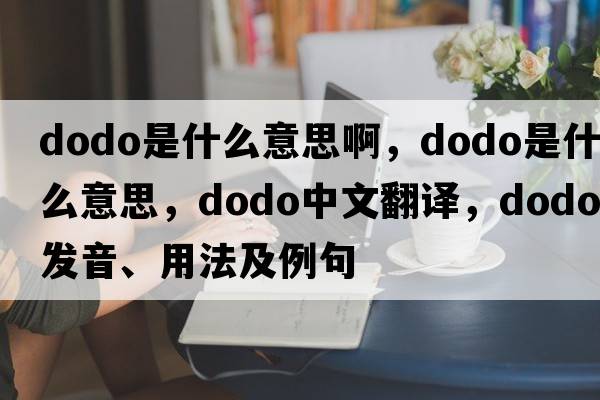dodo是什么意思啊，dodo是什么意思，dodo中文翻譯，dodo發(fā)音、用法及例句