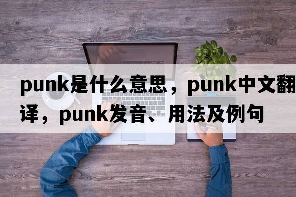 punk是什么意思，punk中文翻譯，punk發(fā)音、用法及例句