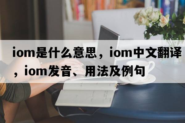 IOM是什么意思，IOM中文翻譯，IOM發(fā)音、用法及例句