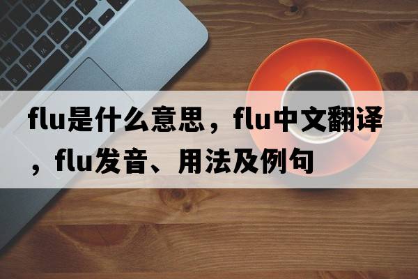 flu是什么意思，flu中文翻譯，flu發(fā)音、用法及例句