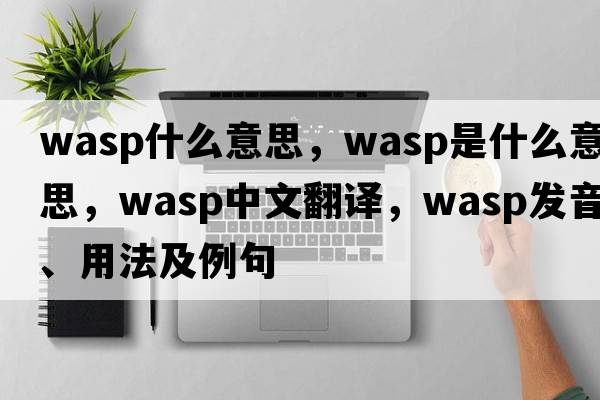 wasp什么意思，wasp是什么意思，wasp中文翻譯，wasp發(fā)音、用法及例句