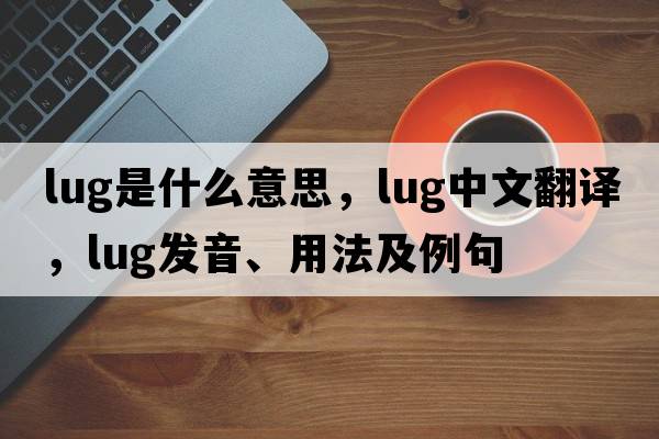 lug是什么意思，lug中文翻譯，lug發(fā)音、用法及例句