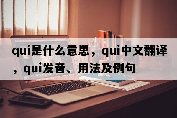 qui是什么意思，qui中文翻譯，qui發(fā)音、用法及例句