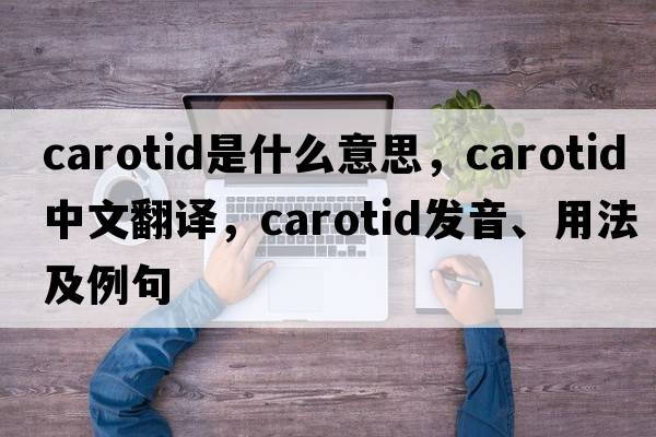 carotid是什么意思，carotid中文翻譯，carotid發(fā)音、用法及例句
