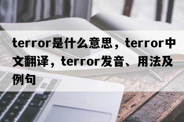 terror是什么意思，terror中文翻譯，terror發(fā)音、用法及例句
