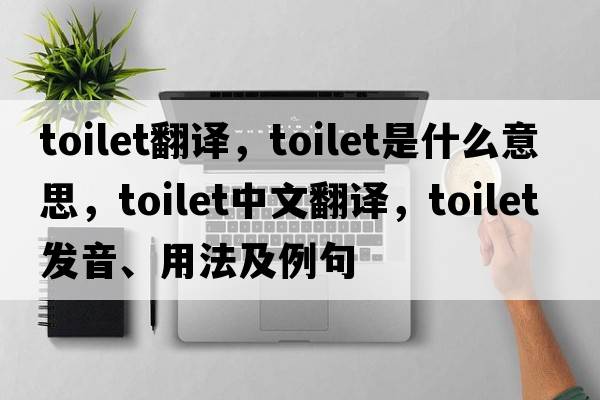 toilet翻譯，toilet是什么意思，toilet中文翻譯，toilet發(fā)音、用法及例句