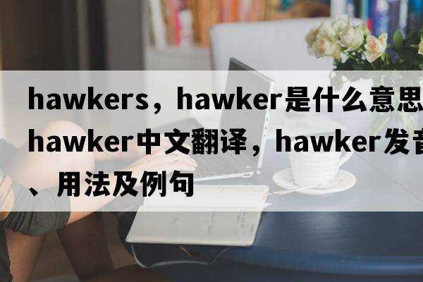 hawkers，hawker是什么意思，hawker中文翻譯，hawker發(fā)音、用法及例句