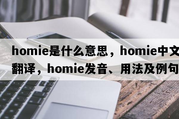 homie是什么意思，homie中文翻譯，homie發(fā)音、用法及例句
