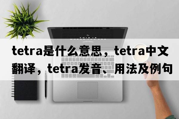tetra是什么意思，tetra中文翻譯，tetra發(fā)音、用法及例句