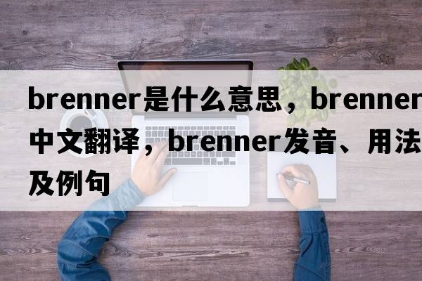 brenner是什么意思，brenner中文翻譯，brenner發(fā)音、用法及例句