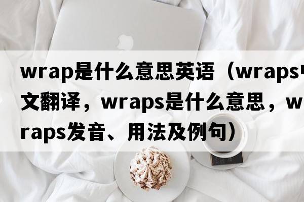 wrap是什么意思英語(yǔ)（wraps中文翻譯，wraps是什么意思，wraps發(fā)音、用法及例句）