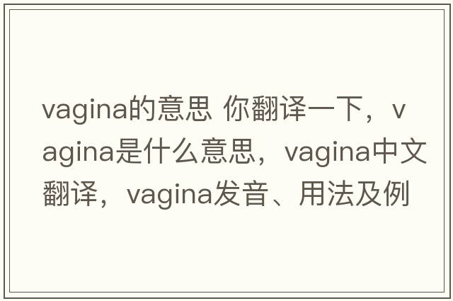 vagina的意思 你翻譯一下，vagina是什么意思，vagina中文翻譯，vagina發(fā)音、用法及例句
