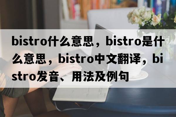 bistro什么意思，bistro是什么意思，bistro中文翻譯，bistro發(fā)音、用法及例句